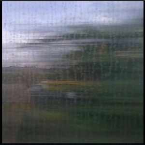 Goldbeater's Skin: VI. Interlude 3 - Skin: Fatal Exception