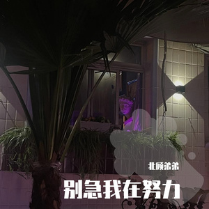 别急我在努力