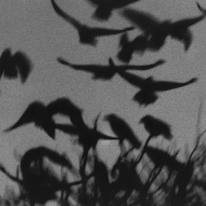 靠近一点 trap beat 中国风 痛苦 恐怖感