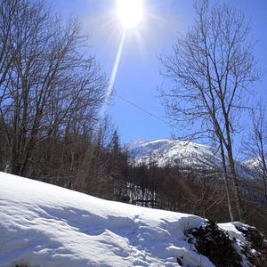 Backlights (Extended Version)