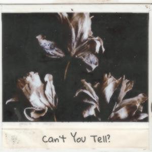 Can't You Tell? (feat. saveaj)