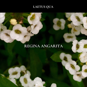 Laetus Qua