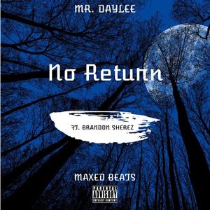 No Return (feat. Brandon Sherez)