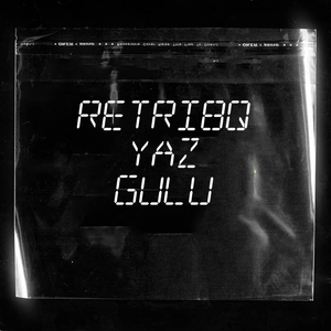 Yaz Gülü