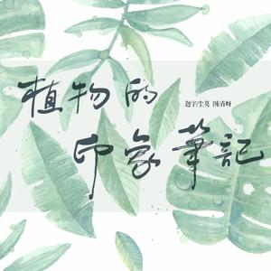 【念歌】向死而爱—女神杨啟 草木集系列之欧石楠