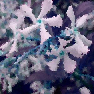 Jasmin de Nuit (Original Mix)