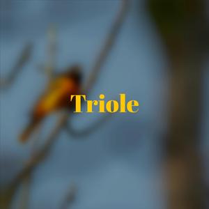 Triole