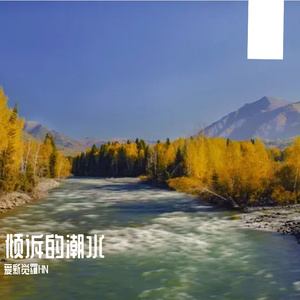 繁华世界的伤感情歌