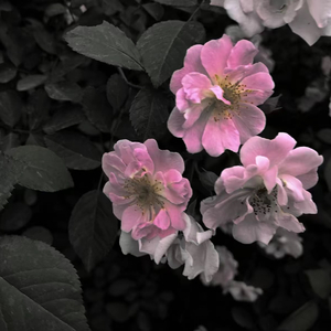 幸福的话 怎么样都不算虚度