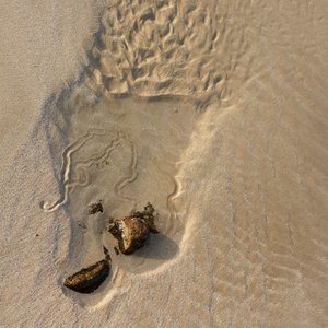 Cuando te fuiste (Acústica)