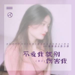 不爱我就别伤害我 (DJ版)