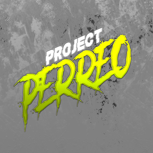 PROJECT PERREO - VERANO 2024
