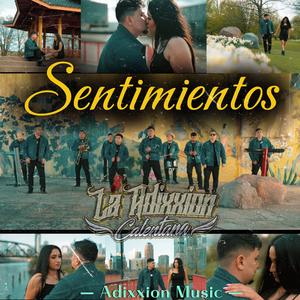 Sentimientos (Adriana)