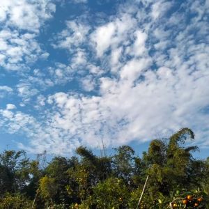 温柔拥抱里的浪漫之音