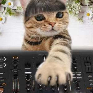 (粤) 善宇 - 从前怕 (63 weeks Bootleg)