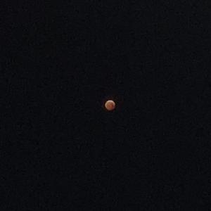 S E E B O U T I T X C H I