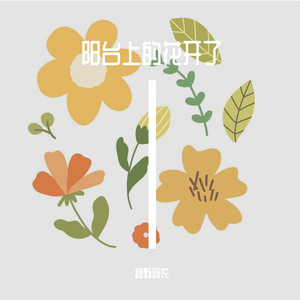 阳台上的花开了