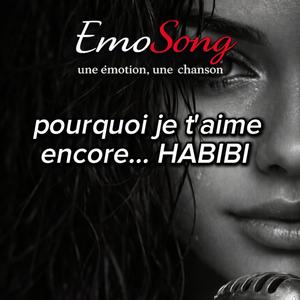 Pourquoi je t'aime encore... HABIBI