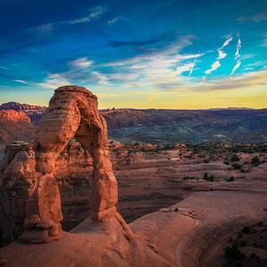 「NOT FREE 」荒漠