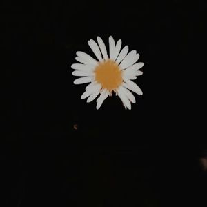 《自作自受》-艾特