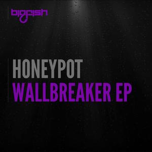Wallbreaker (Original Mix)