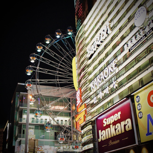 星になった君へ。