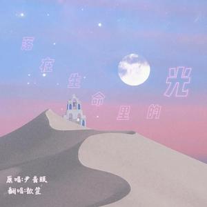 落在生命里的光