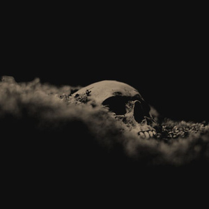 Замёрзшее Сердце