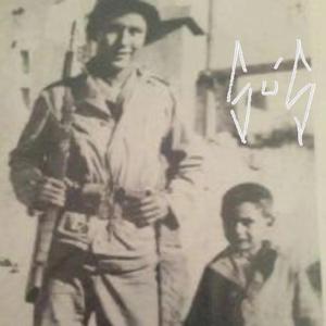 WAR COLORS WWII The liberation of Dachua