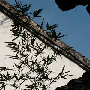指纹（我何苦又问）