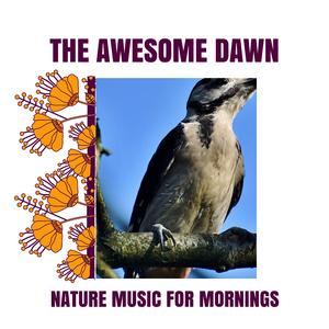 Harmonic Ocean Splash