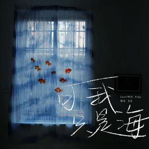 可我只是海