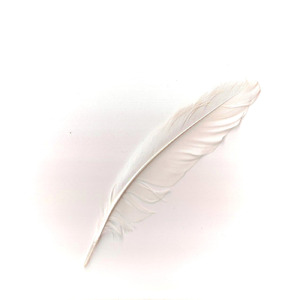 voice2 (2025 Remaster)