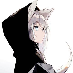 喜欢永远的自由