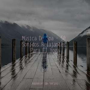 Adoración Desvanecida