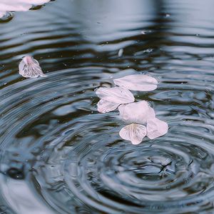 福来-二十一世纪最失败说唱歌手（Rz on the beat remix）