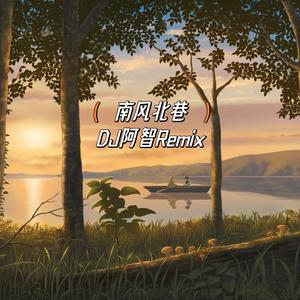 南风北巷（DJ阿智版）