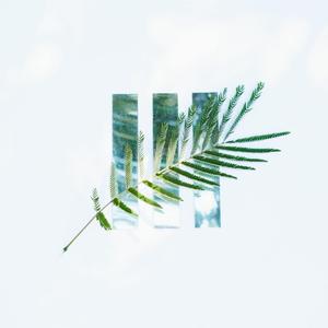 因风皱面（Rerosy remix）