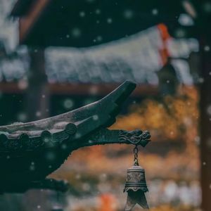 Drive Thru(Explicit)_Yan