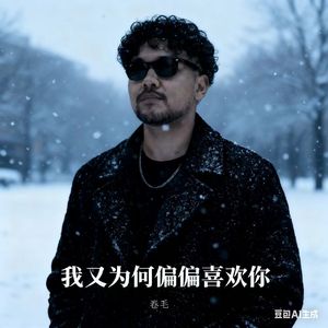 我又为何偏偏喜欢你
