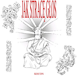 WIĘCEJ NIE ZAŚPIEWAM