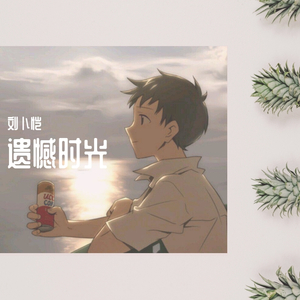 遗憾时光
