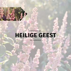 Geleide meditatie (Spiritueel)