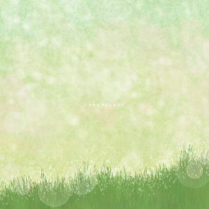 초여름의 산책길