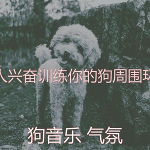 诗意的幼犬节奏