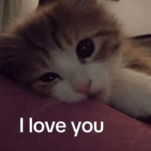 "沉溺" sadpiano x samplevocal x 痛苦旋律伴奏