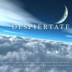 Música New Age Oriental