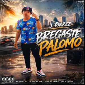 Bregaste palomo