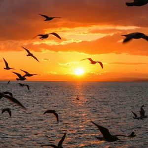 【free】Toosii Type Beat -- ' Past '