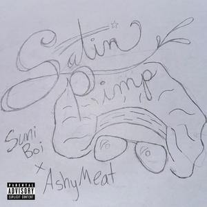Satin Pimp (feat. AshyMeat)